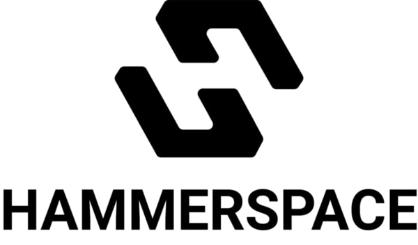 Hammerspace logo