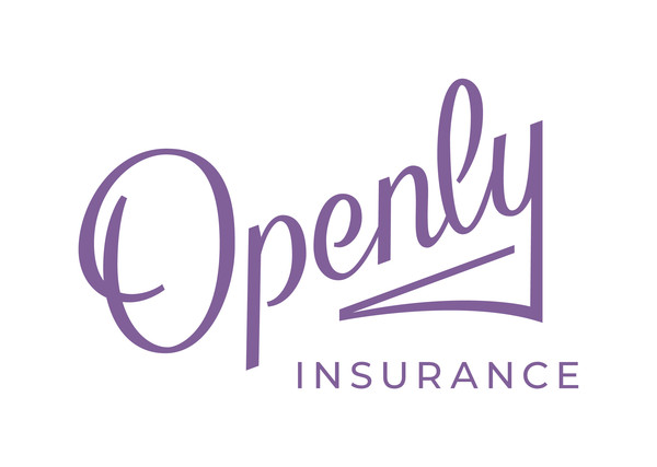 Openly logo