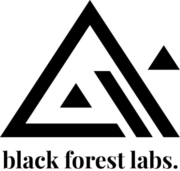 Black Forest Labs logo